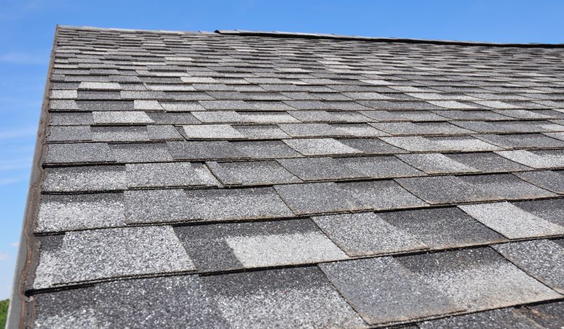 Seasonal Roofing Trends